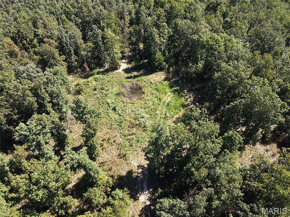 52nd image of 0 Coldwater Crk #Creek_lot-2