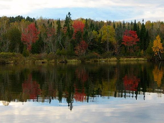 Fall colors from the Ducks