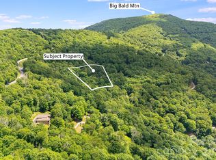 10 Buckeye Rd #10, Mars Hill, NC 28754