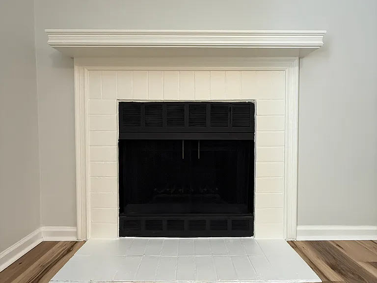 Wood burning fireplace