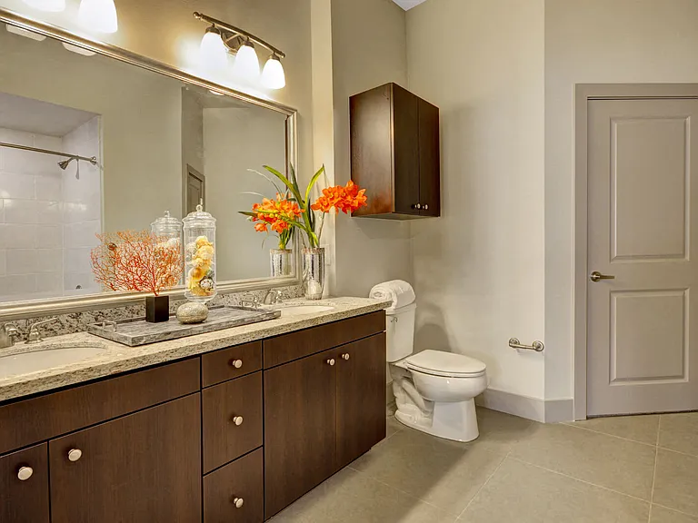 Spa-inspired bathrooms