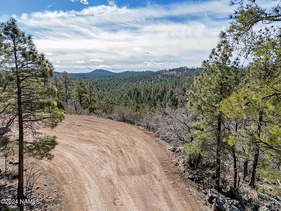 3rd image of 1555 Pine Meadow Dr Lot 35