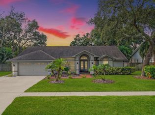 3805 Cliffdale Dr, Valrico, FL 33594