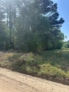0 Walter Carter Rd, Enigma, GA, 31749