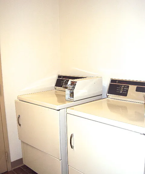 730 Abrams St #5 — Photo 9