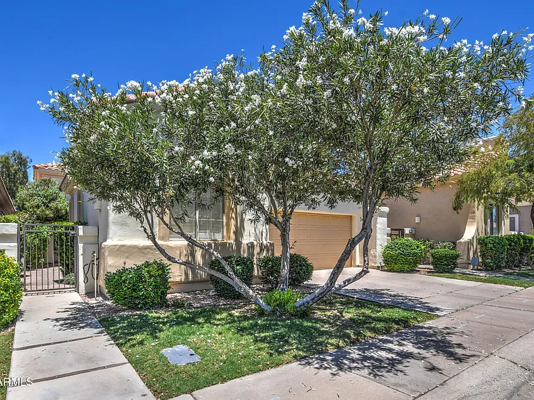 7910 E Cholla St — Photo 4
