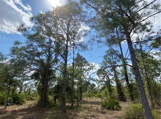 409 Wellington Ave, Lehigh Acres, FL 33972