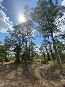 409 Wellington Ave, Lehigh Acres, FL, 33972
