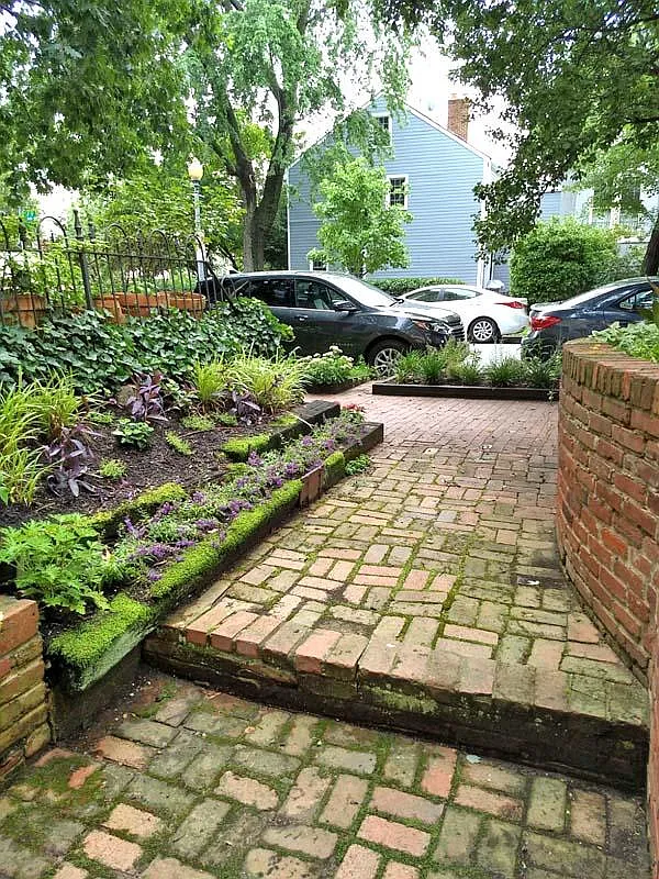 1 bed, $1,700 — Photo 2