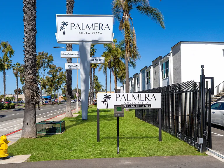 Palmera — Photo 30