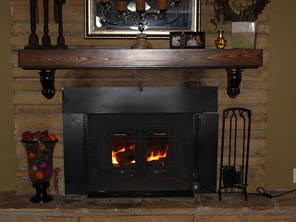 Electric Wood burning Insert