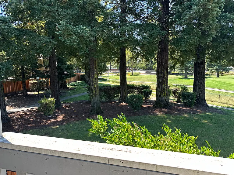 View from deck