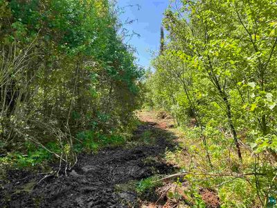 Xxx Stony River Forest Rd, Isabella, MN, 55607