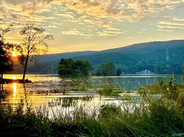 2842 Lake Forest Dr N, Gadsden, AL 35907