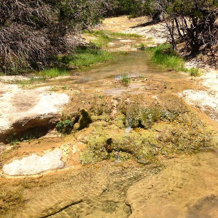 1st image of 2098 County Road 1403