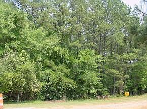 3rd image of 0 Ponderosa Drive LOT 61