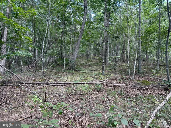 Gun Barrel Ln, Winchester, VA 22603