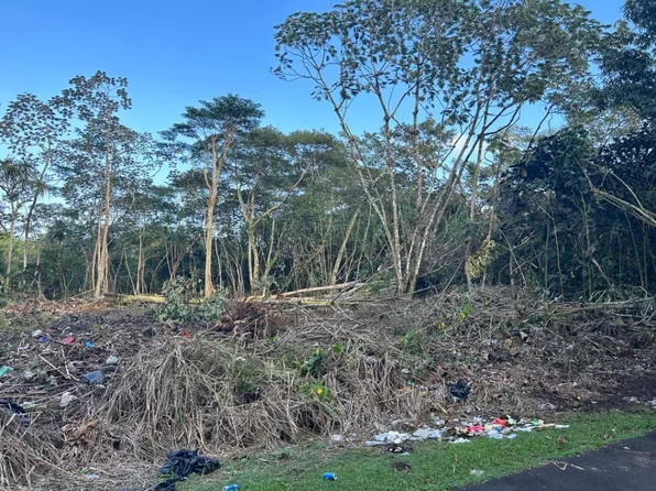 Ono St Lot 1558, Pahoa, HI 96778
