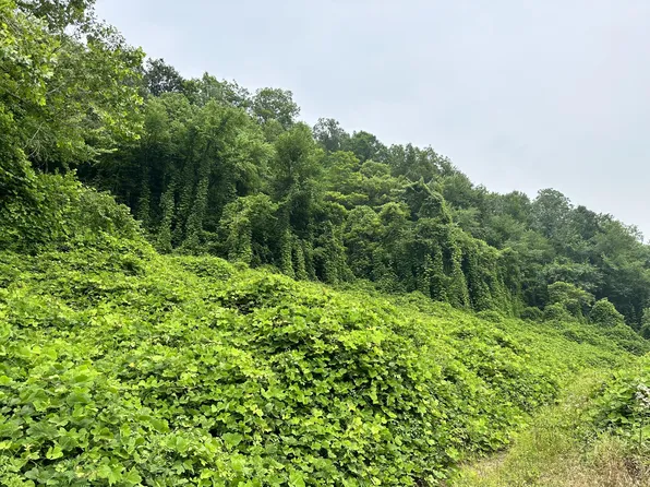 9999 Highway 1524, Manchester, KY 40962