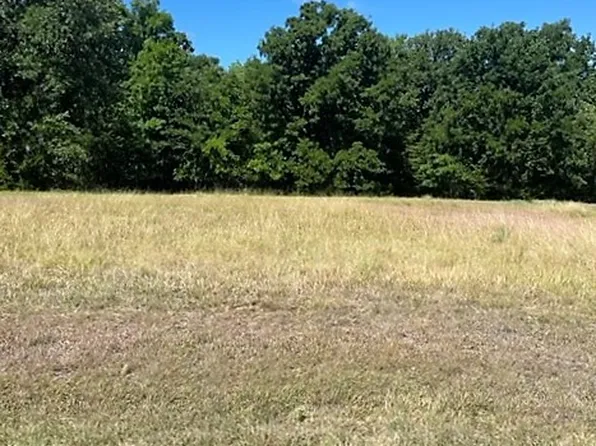 14046 Whatley Dr, Streetman, TX 75859