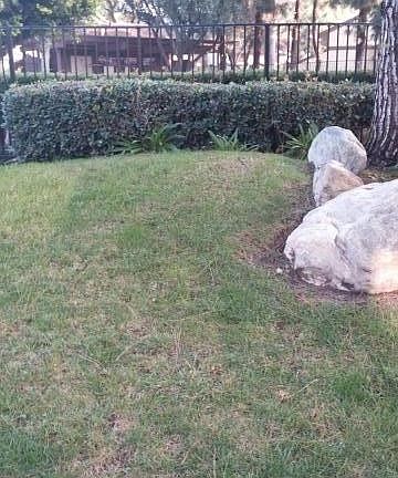 3rd image of 21329 Norwalk Blvd APT 29