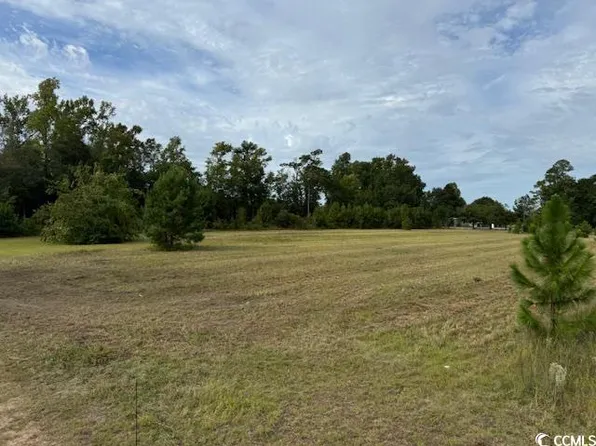 Lot 2 Sand Plant Rd., Nichols, SC 29581