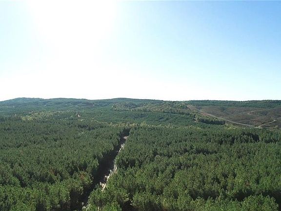 2nd image of 61 Bear Cedar Trl #24