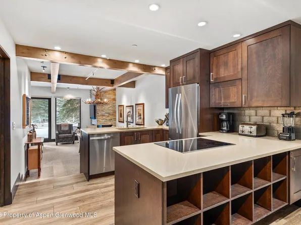 610 S West End St #E103, Aspen, CO 81611