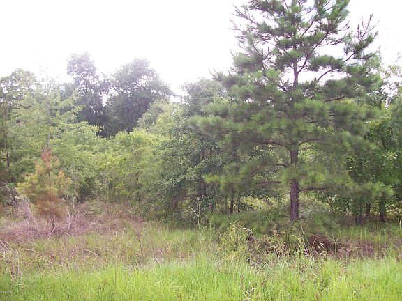 2nd image of 627 Windsong Way Ct