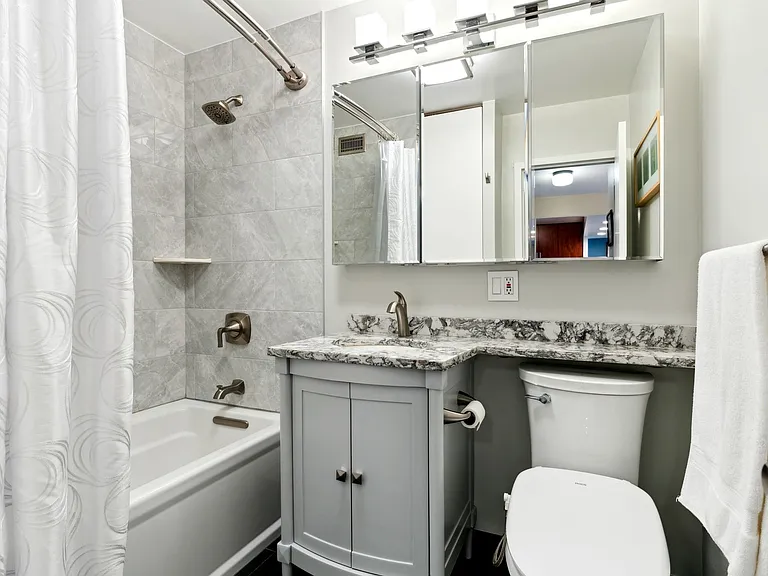 1255 N Sandburg Ter #2309 — Photo 11