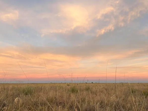 0 Boston Rd, Whitharral, TX 79380