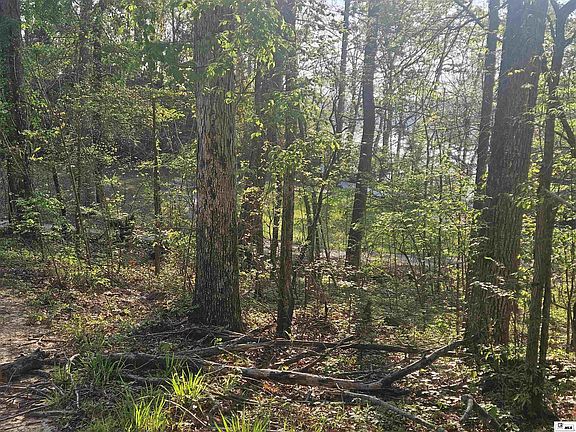 3rd image of 0 Iley Evans Rd