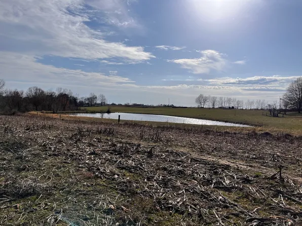 0 County Road 154, Section, AL 35771