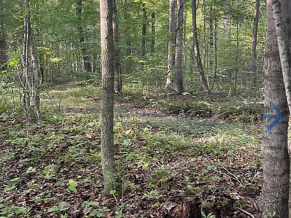 3rd image of TRACT 8 N Sunnyside Rd