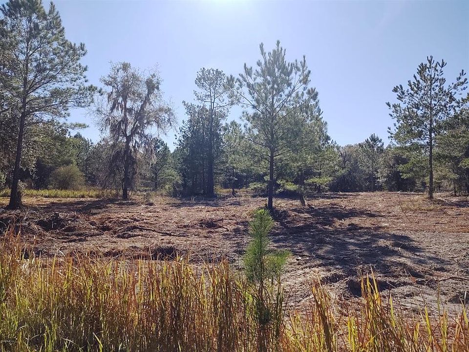 2nd image of 0 W Highway 316 Hwy