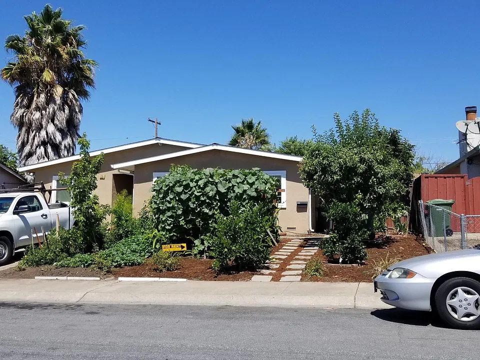 front with fruit trees