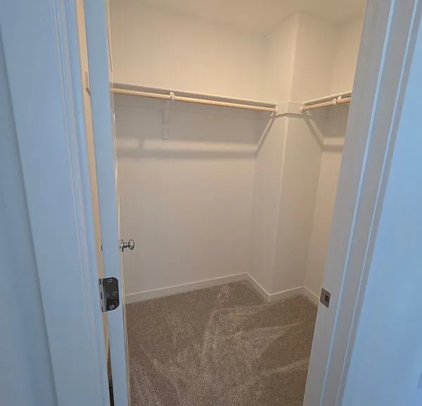 12663 Snowy Owl Way — Photo 12
