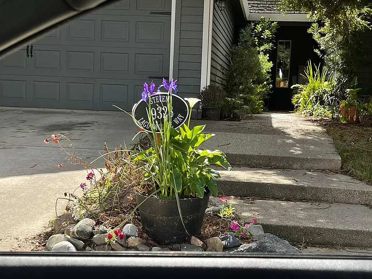 Entry: looking at the front door
