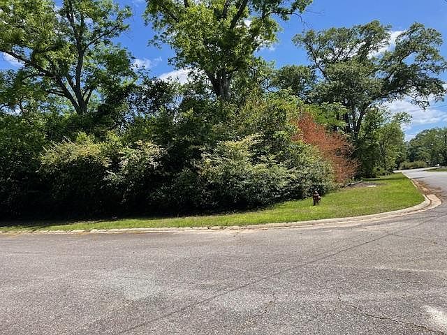 2nd image of 0 Warren St