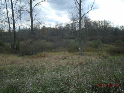 Corneil, Imlay City, MI, 48444
