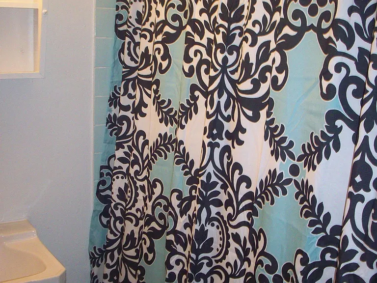 Bathtub shower combo