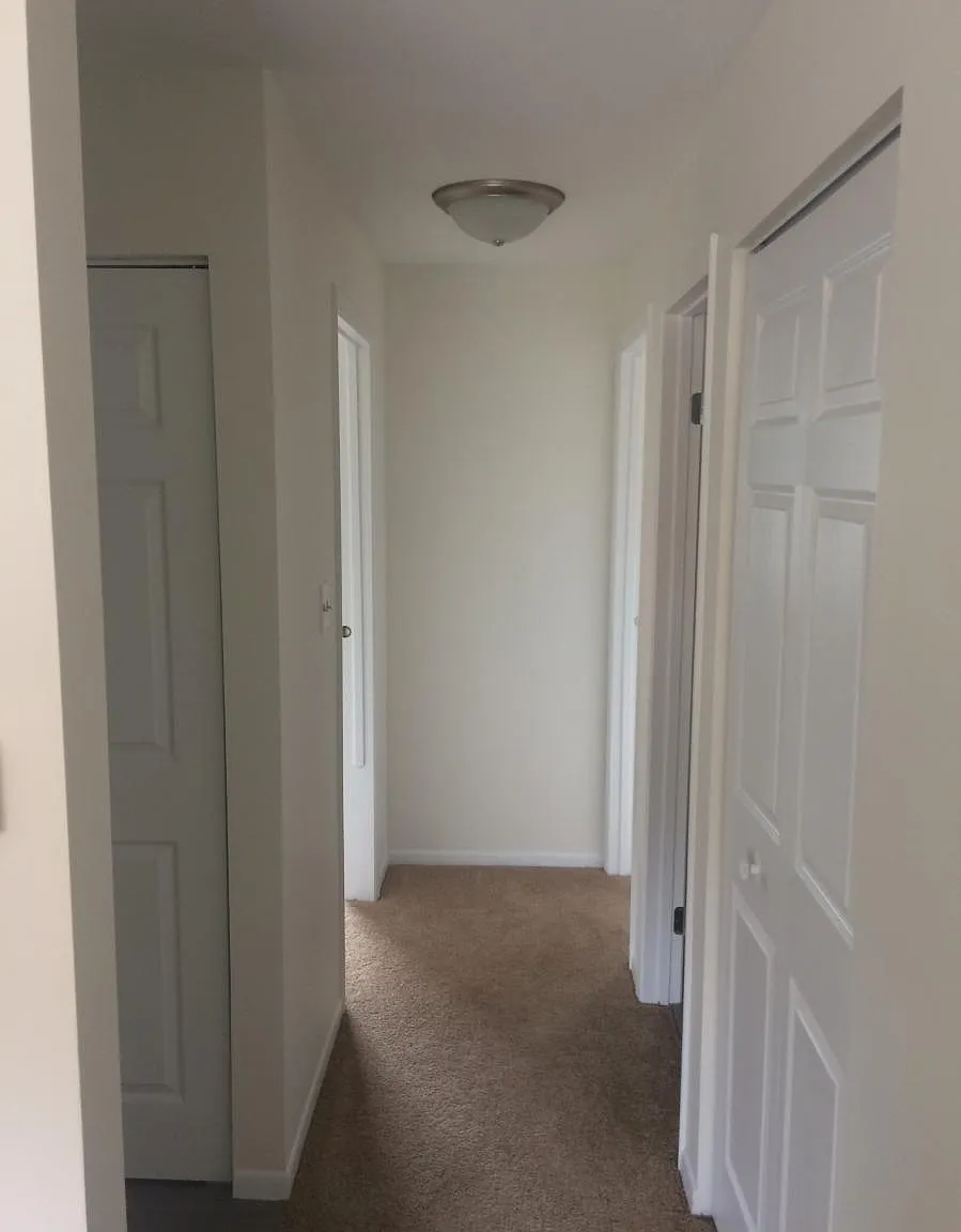 2 bed, 950 sqft, $1,900 — Photo 2