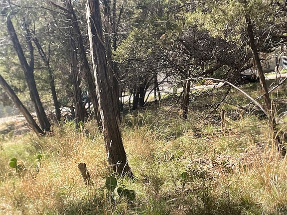 4th image of 301 Augusta Cv