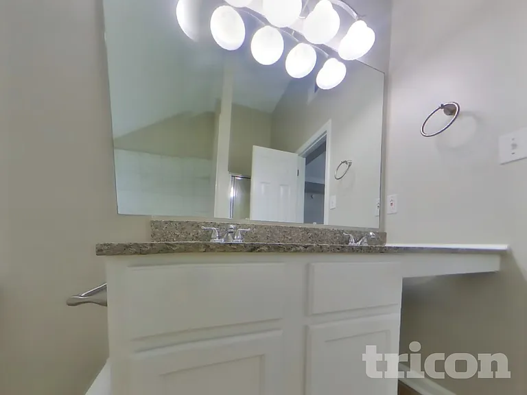 4118 Lost Springs Trl — Photo 8