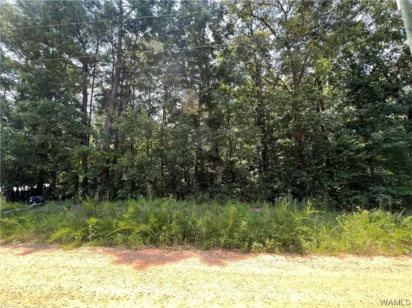 LOT 6 Ann Marie Dr, Mc Calla, AL 35111