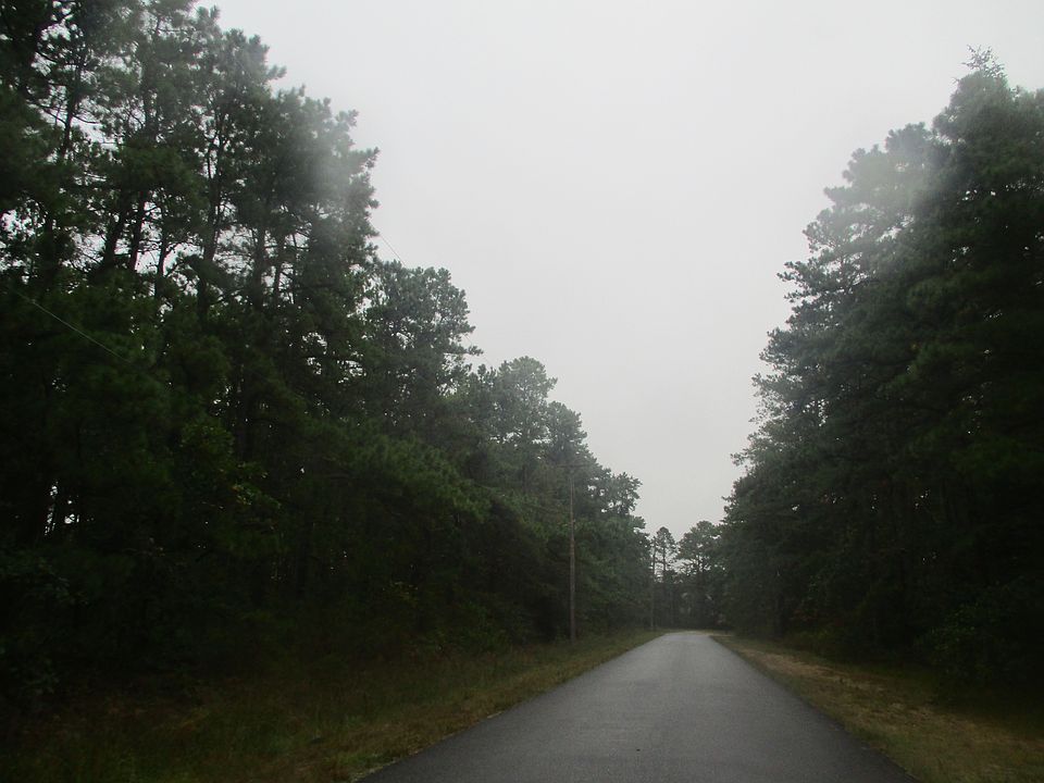 2nd image of 2841 7th Ave