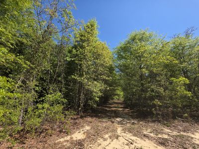 32a Briarwood Drive, Williston, SC, 29853