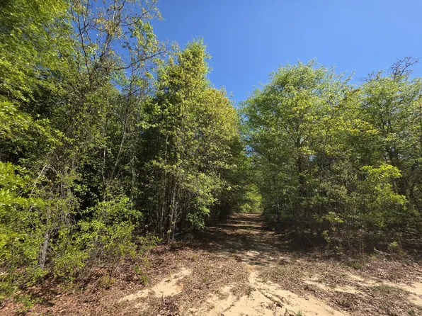 Lot 1 Briarwood Drive, Williston, SC 29853