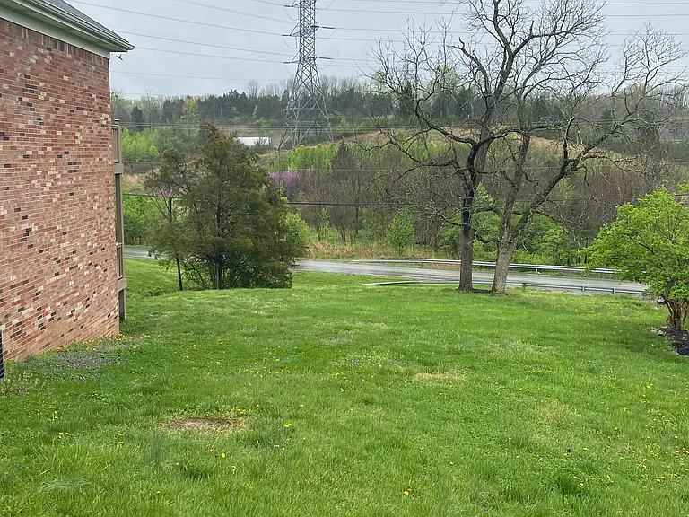 Side yard view