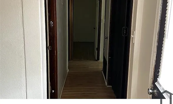 3501 White Cedar Ct — Photo 13